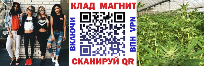 Сколько стоит Орск Марихуана Меф Лсд 25 ГАШИШ Псилоцибиновые грибы