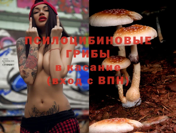 PSILOCYBIN Магадан