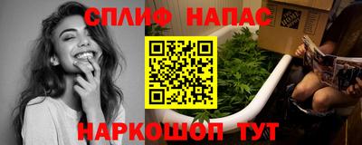 spice Дубна