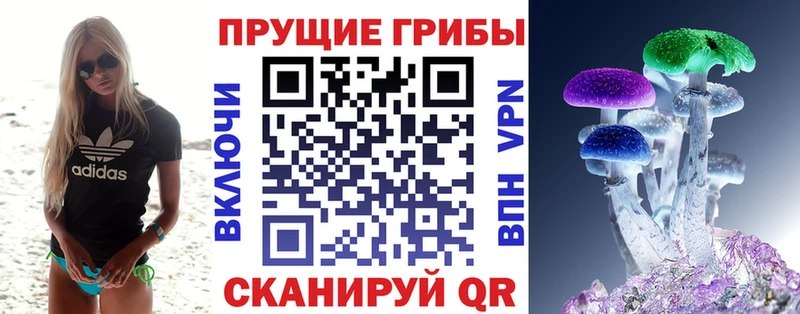 blacksprut вход  Орск  Галлюциногенные грибы Psilocybe  как найти закладки 